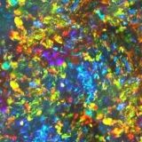 Opal-25.jpg