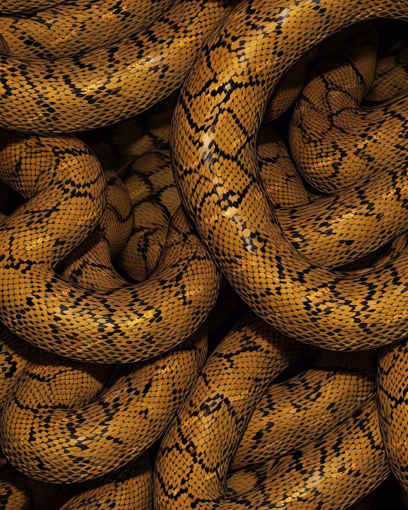 Orange Snake