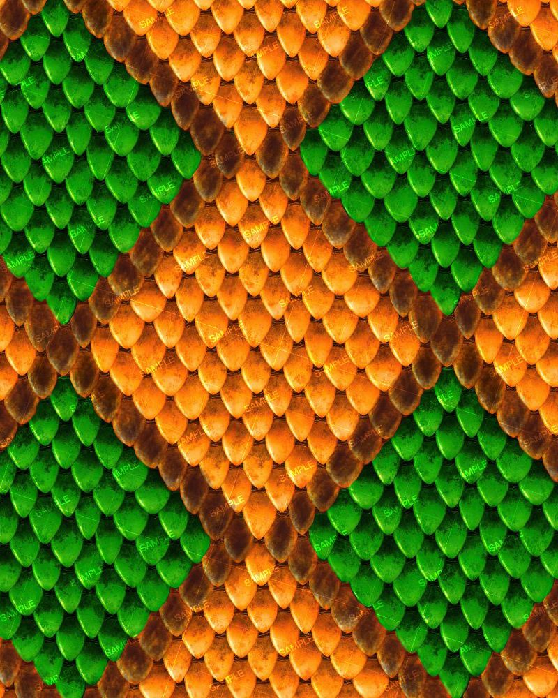 Orange and Green Scales 22