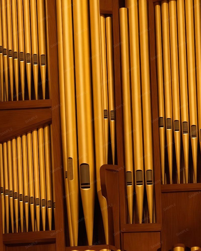 Organ Pipes