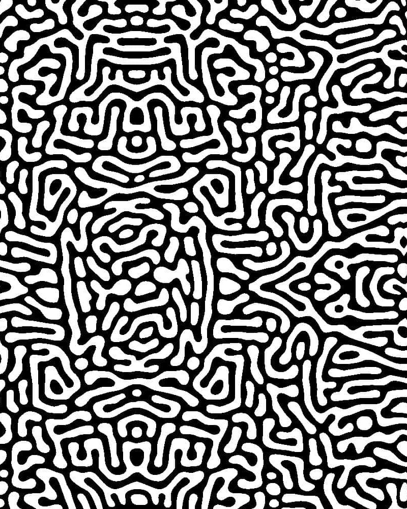 Maze 24