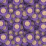 Orlando-City-SC-22.jpg