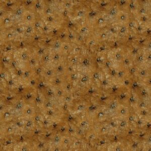 Ostrich Leather 23