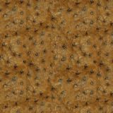 Ostrich-Leather-23.jpg