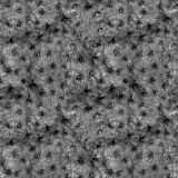 Ostrich-Leather-24.jpg