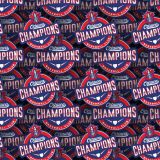Ottawa-Champions-22.jpg