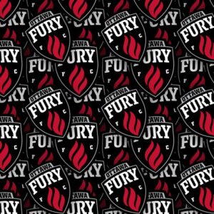 Ottawa Fury 22