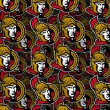 Ottawa-Senators-22.jpg