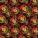 Ottawa-Senators-24.jpg