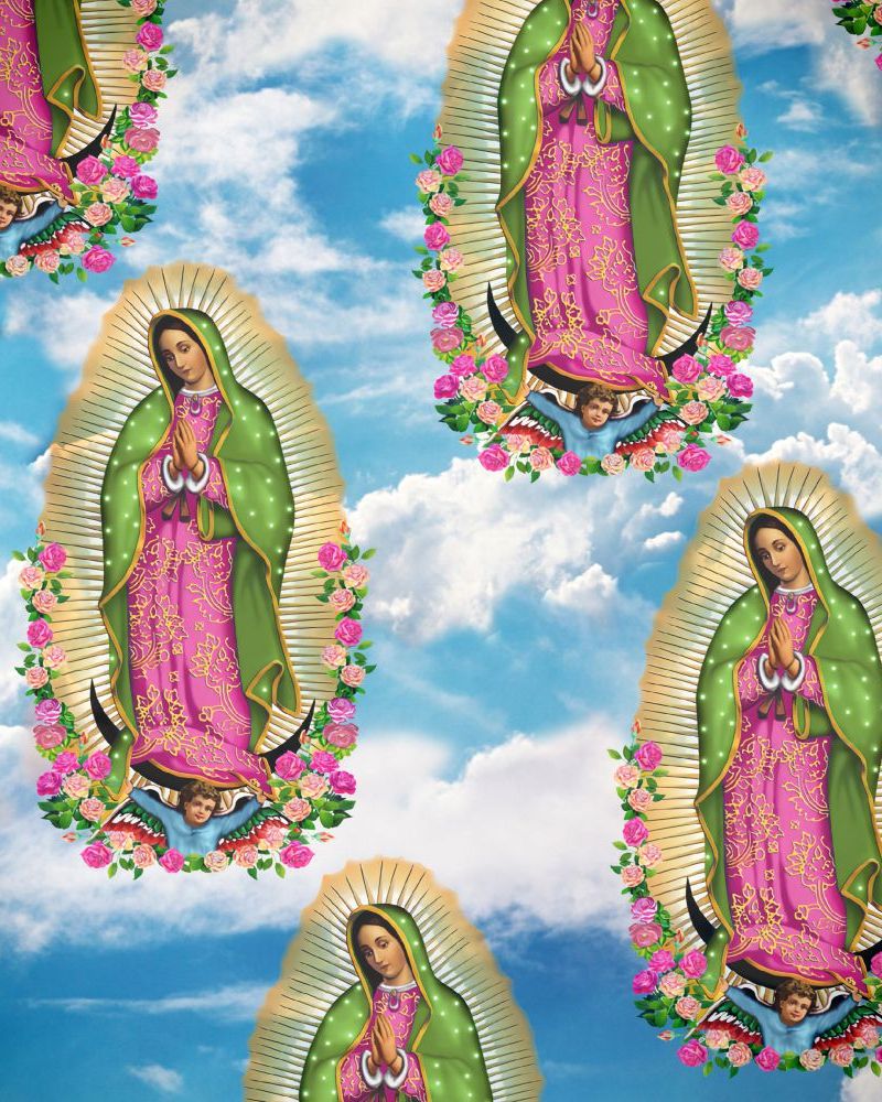 Our Lady of Guadalupe 24