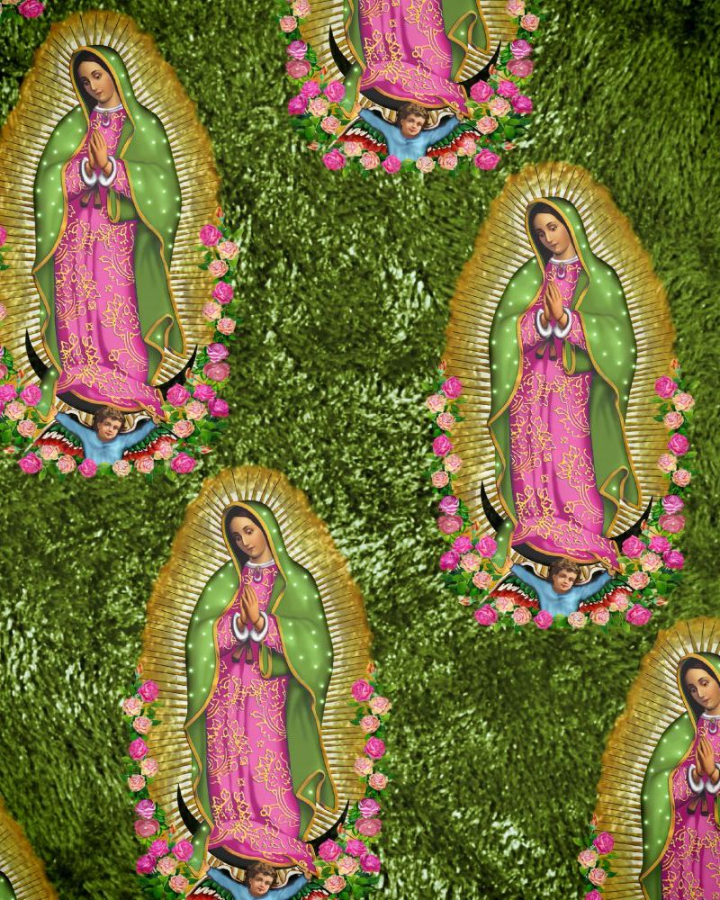 Our Lady of Guadalupe 26