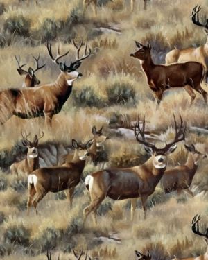 Outstanding Deer Painting