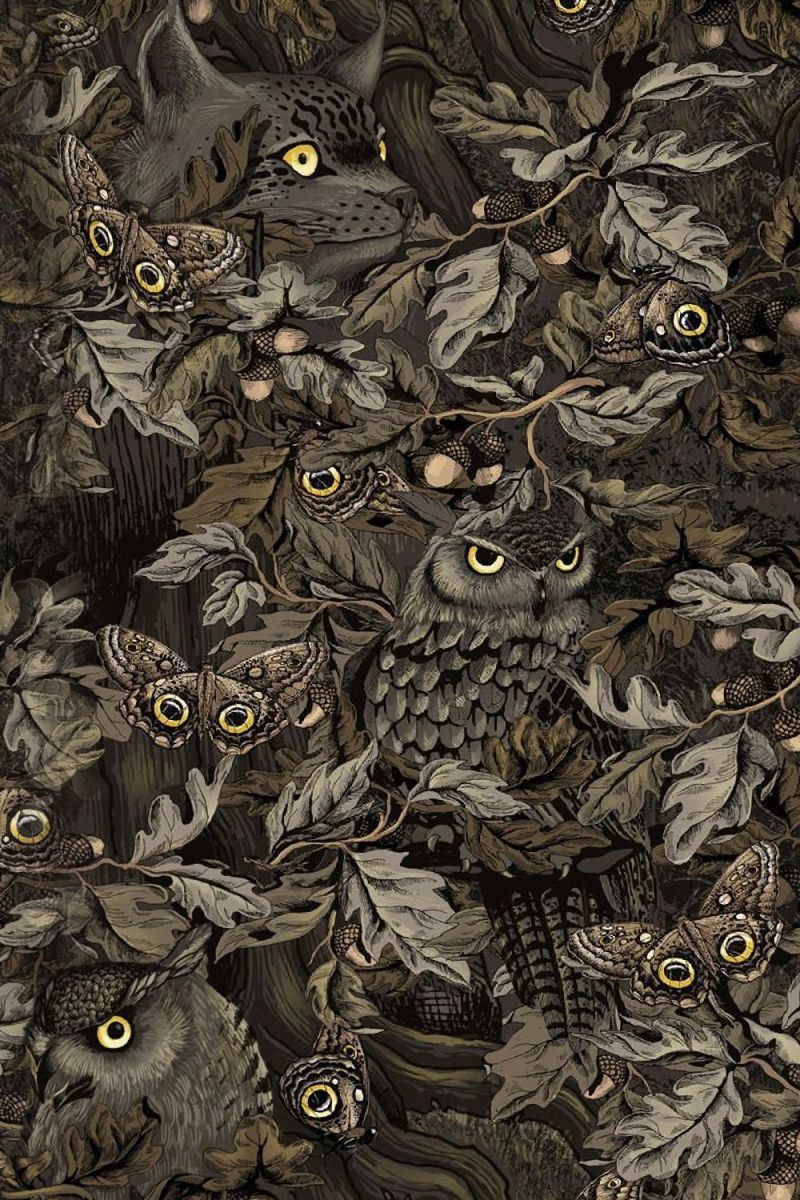Owl Camouflage