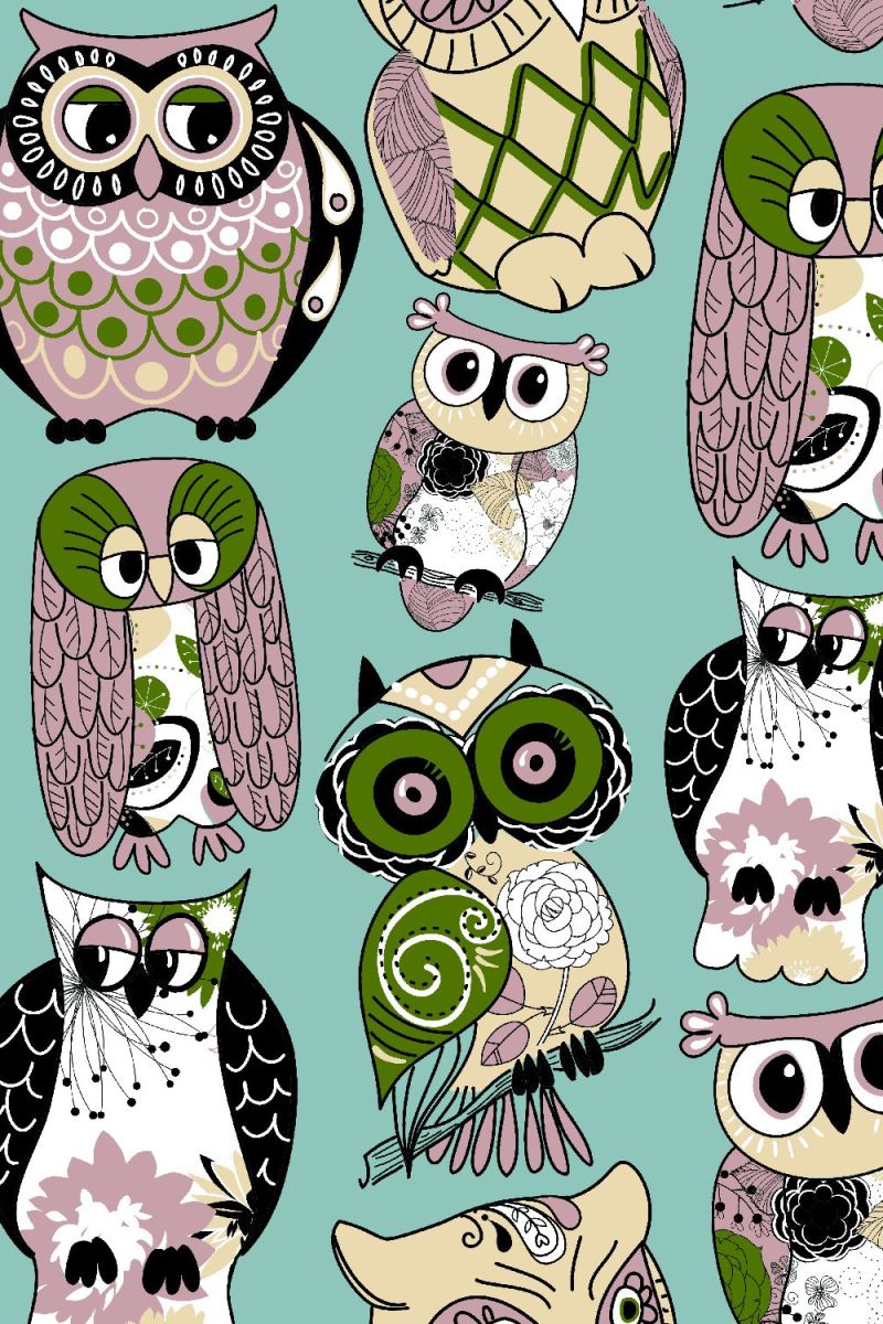 Owl Collector 23