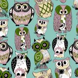 Owl-Collector-23.jpg