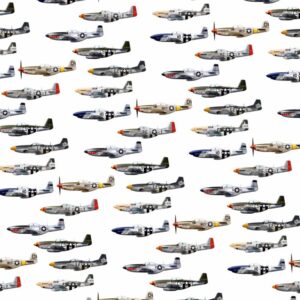 P51 Squadron 22