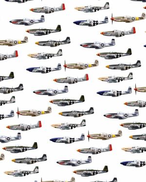 P51 Squadron 22