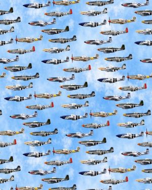 P51 Squadron 24