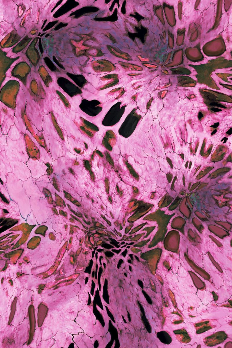 PRYM1 Pinkout Camouflage
