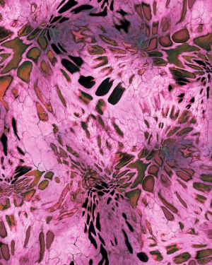 PRYM1 Pinkout Camouflage