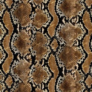 Pacific Python Snake Skin