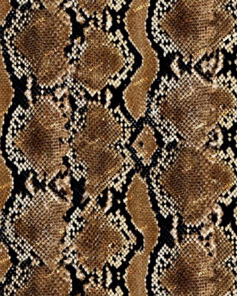 Pacific Python Snake Skin