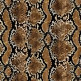 Pacific-Python-Snake-Skin-1.jpg