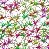 Paint-Splat-26.jpg