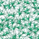 Paint-Splat-27.jpg