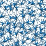Paint-Splat-28.jpg