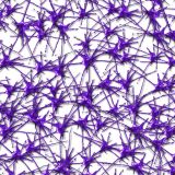 Paint-Splat-29.jpg