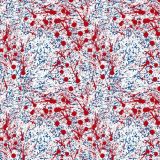Paint-Splatters-27.jpg