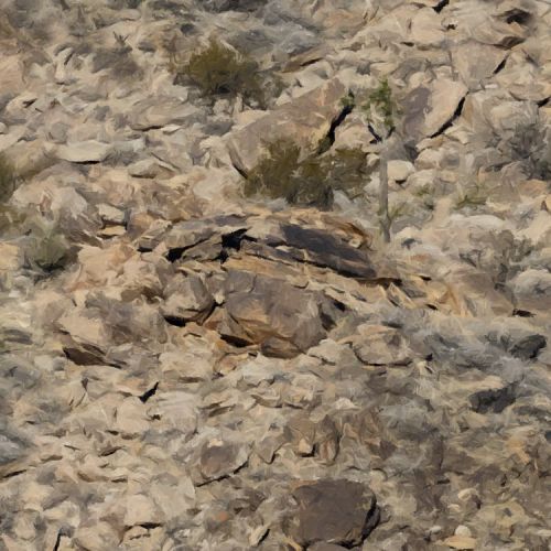 Painted Canyon Camouflage