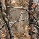 Painted-Tree-22-Camo.jpg