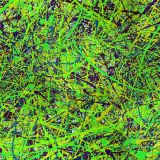 Painters-World-23.jpg