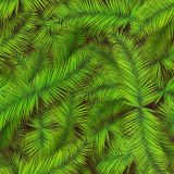 Palm-Leaves-22.jpg