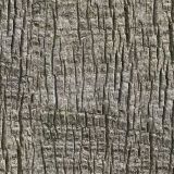 Palm-Tree-Bark-24.jpg