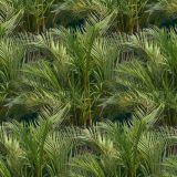 Palm-Trees-22.jpg