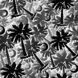 Palmetto-Moon-23.jpg
