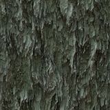 Paper-Bark-Camo.jpg