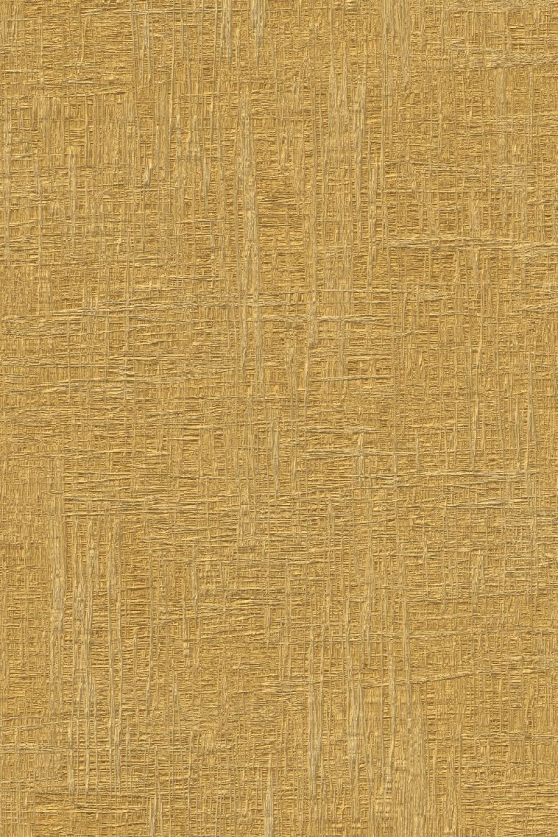 Papyrus 23