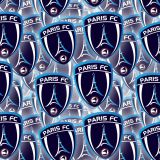 Paris-FC.jpg