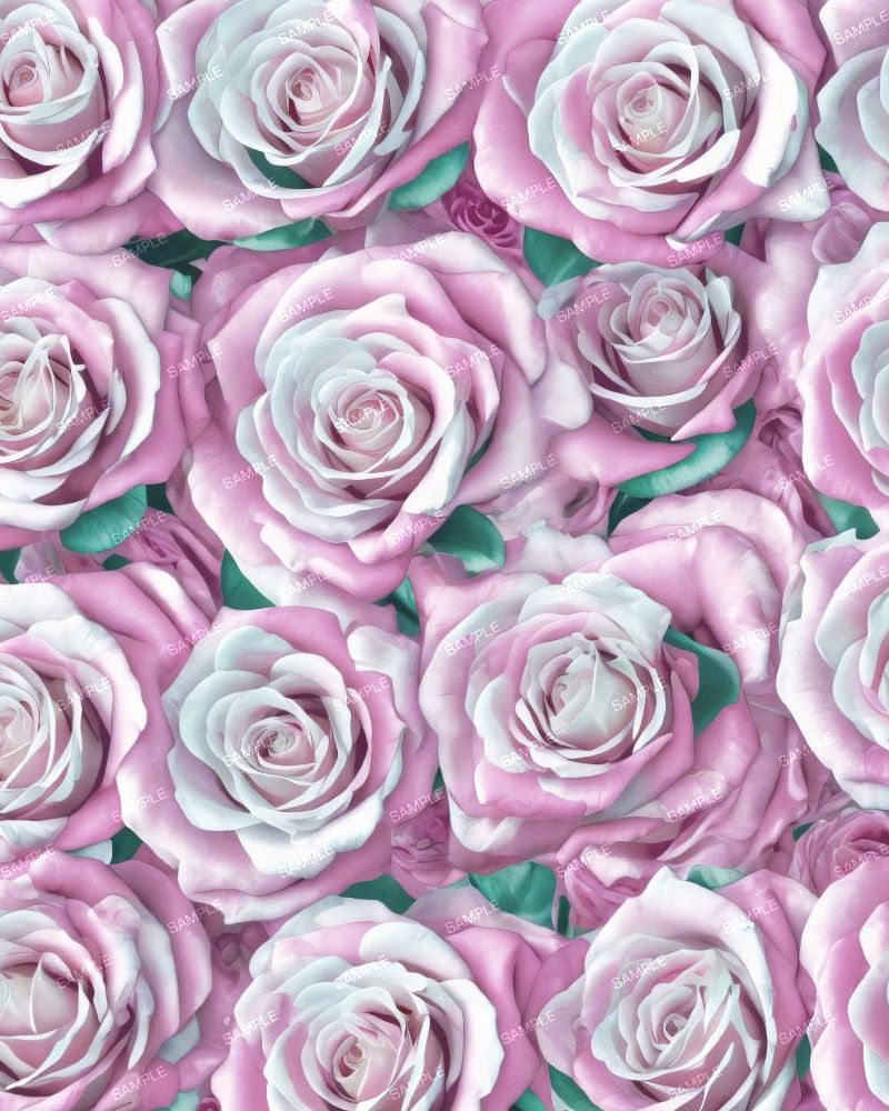 Pastel Roses