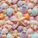 Pastel-Starfish-and-Seashells.jpg