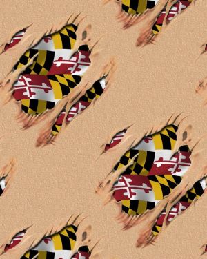 Patriot Under the Skin Maryland
