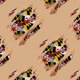 Patriot-Under-the-Skin-Maryland.jpg