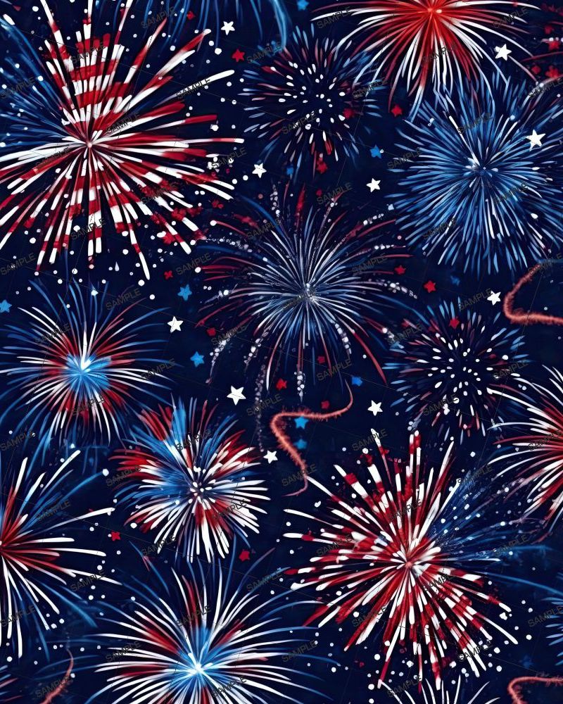 Patriotic Fireworks 42