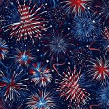 Patriotic-Fireworks-42.jpg
