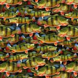 Peacock-Bass-22.jpg