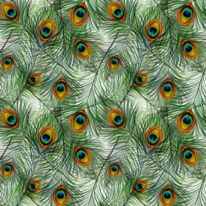 Peacock Feathers 22
